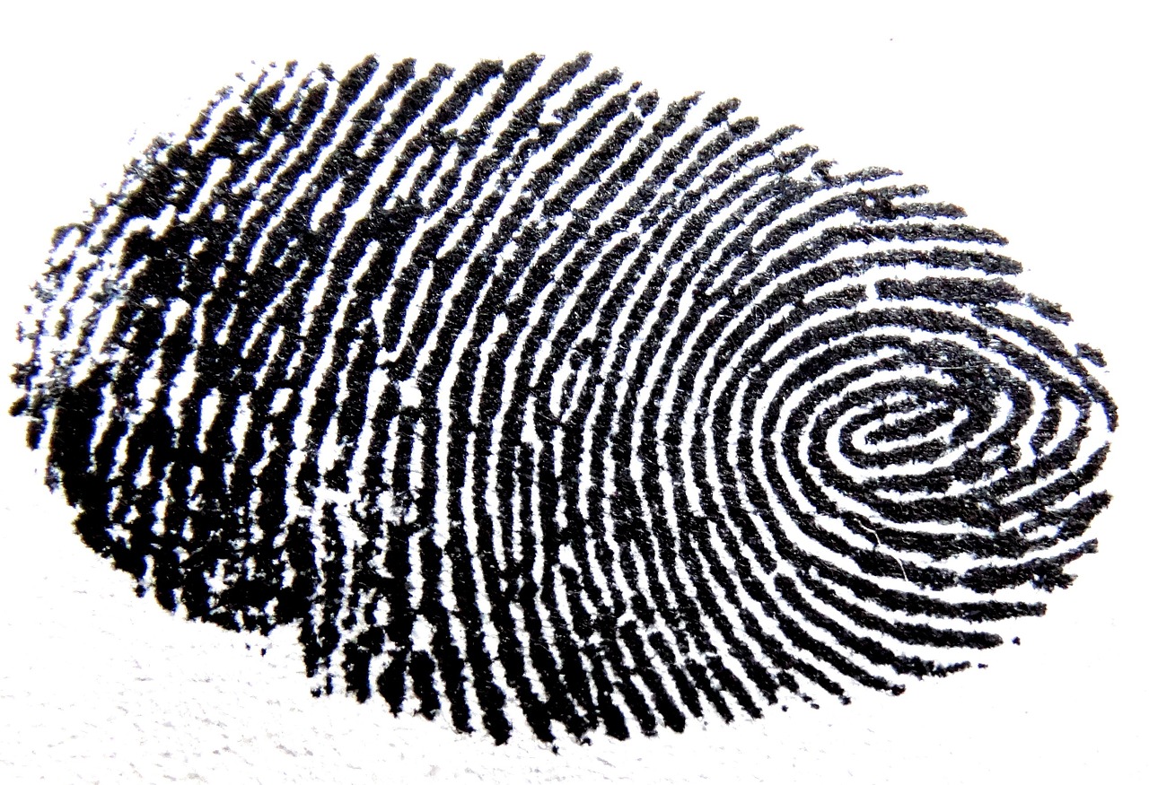 fingerprint, sense, template-456483.jpg